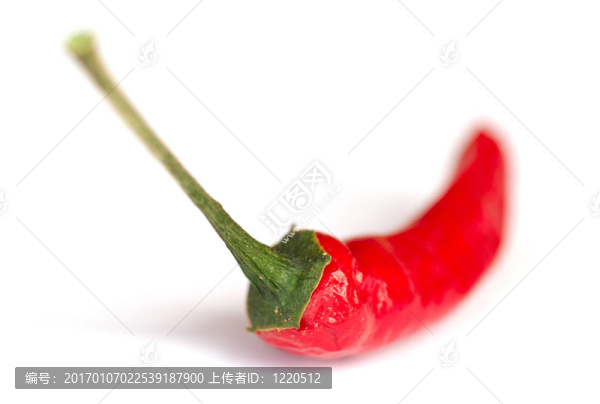 紅辣椒