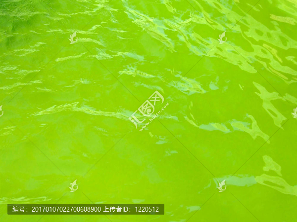 綠色的水