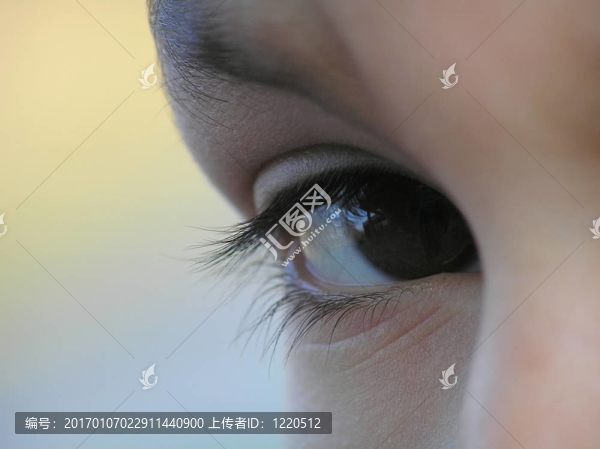 孩子的眼睛