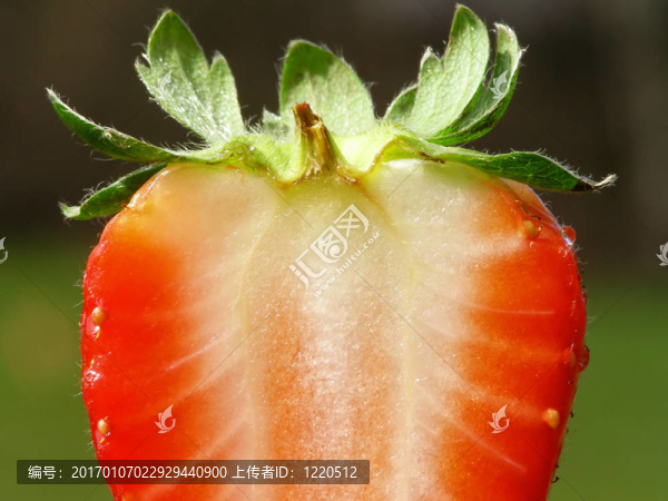 紅色的草莓