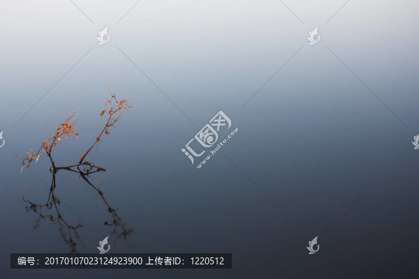 飛魚29
