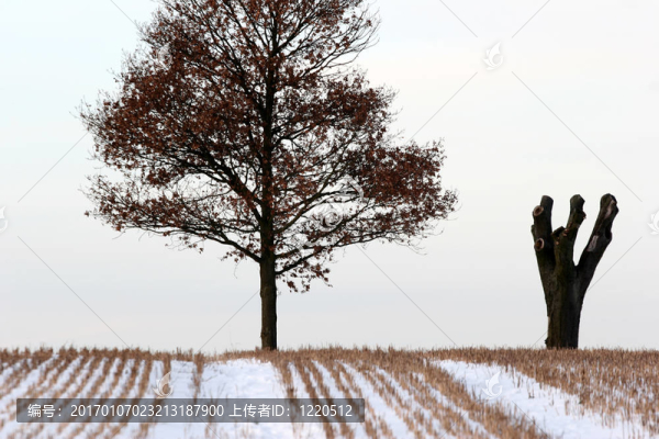 下雪的冬天