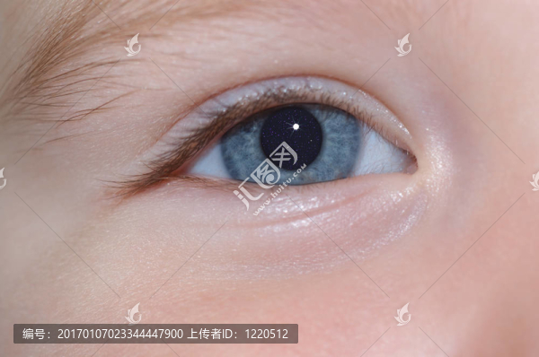 通過一個孩子的眼睛