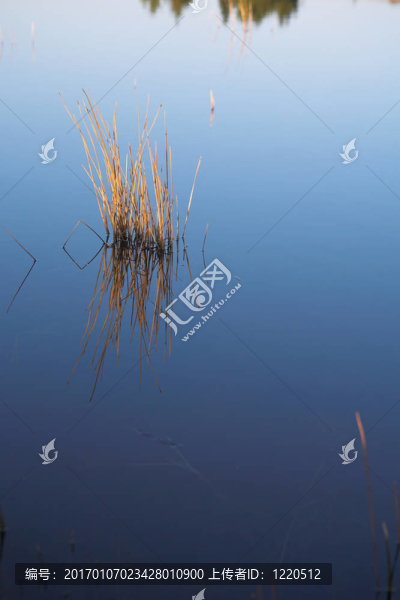 飛魚49