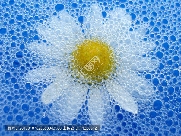 花在泡沫