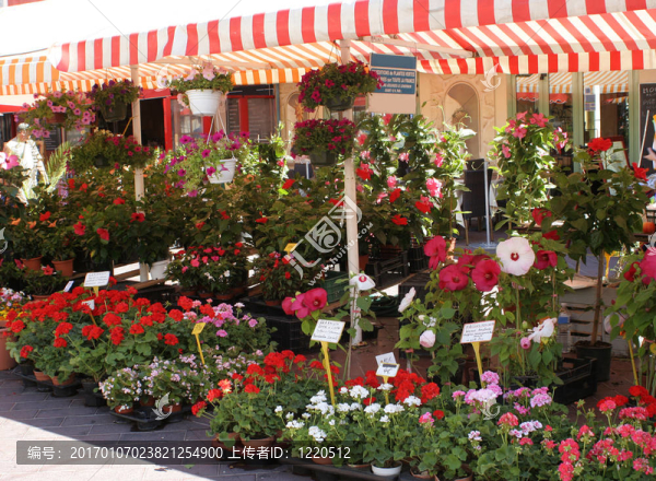花市