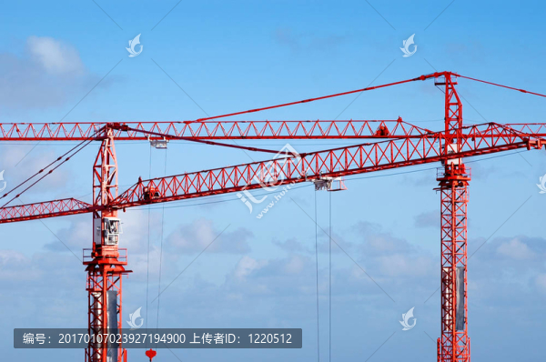 兩只鶴