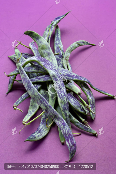 大綠豆莢