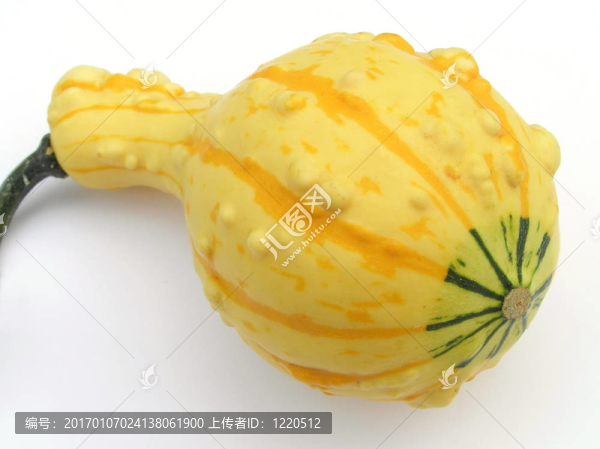 南瓜