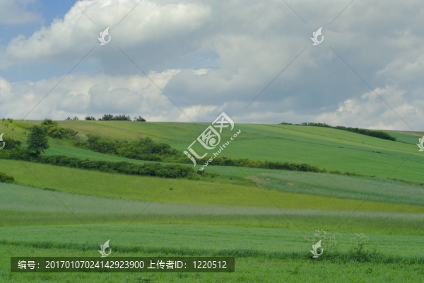 春天的風(fēng)景