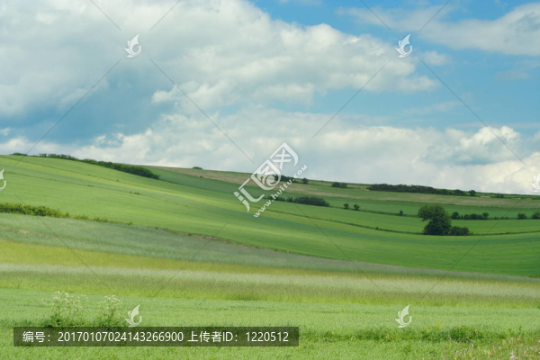 春天的風(fēng)景