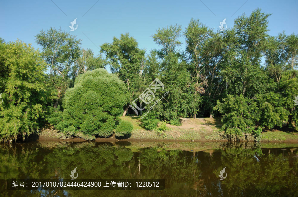 夏日清晨的河流與風(fēng)景