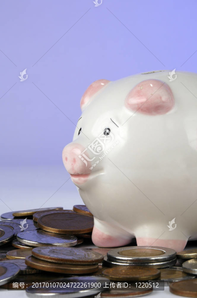 小豬銀行和世界硬幣