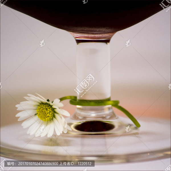 葡萄酒和佛羅里達州的玻璃