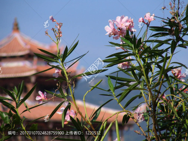 古老的Chinese,Pagoda