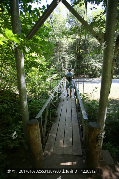 一只腳的briidge照片；先祖的樹林；雷尼爾山國家公園