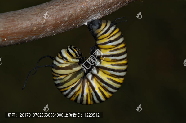 該階段