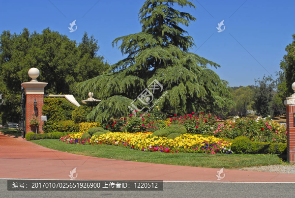 在房門(mén)口Flowerbed