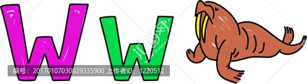 W是海象