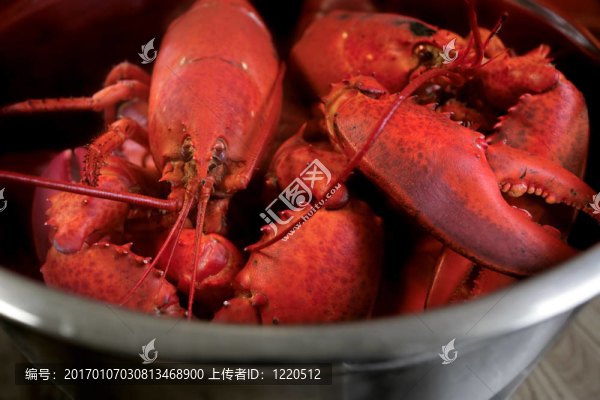 煮龍蝦