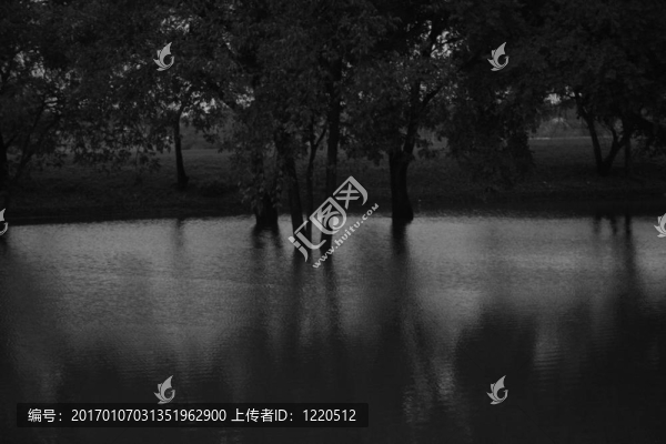 鬼魅森林