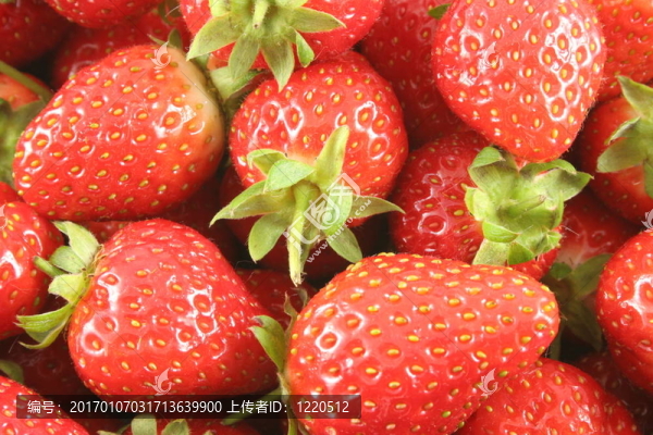 蘇格蘭草莓