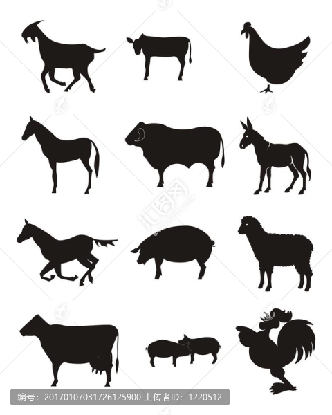 農(nóng)場動物