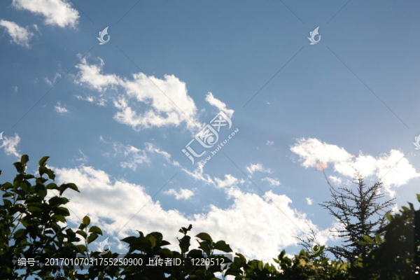 天空中的云