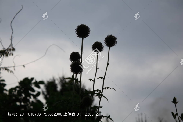 悲傷