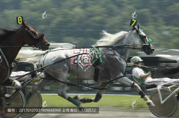 利用race-4