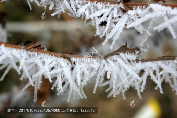 白霜