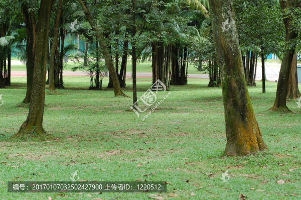 公園景色