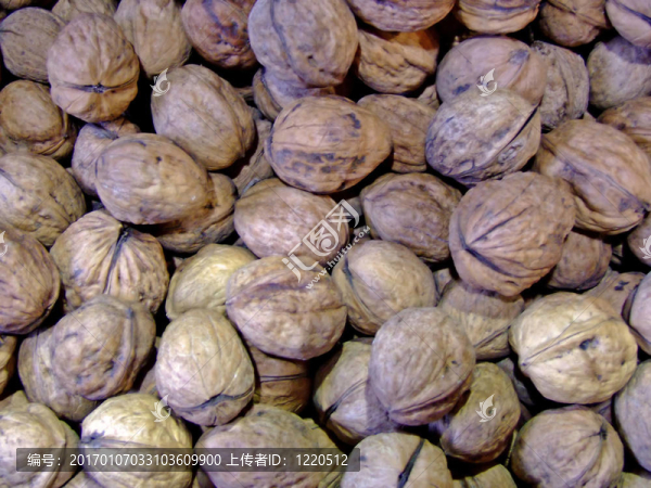 核桃堅(jiān)果殼