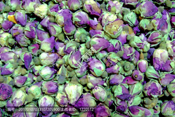 玫瑰花茶樁