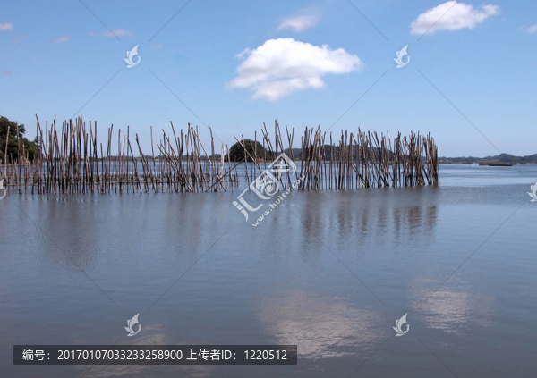 釣魚景觀
