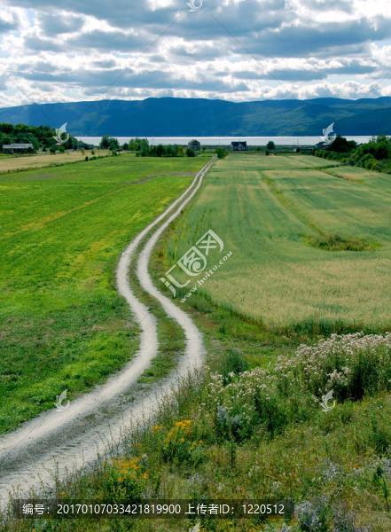 路