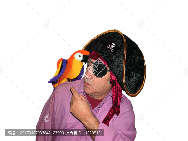 海盜Parrot