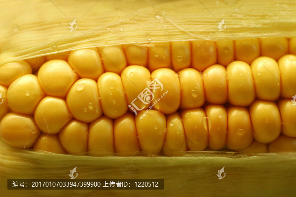 濕玉米