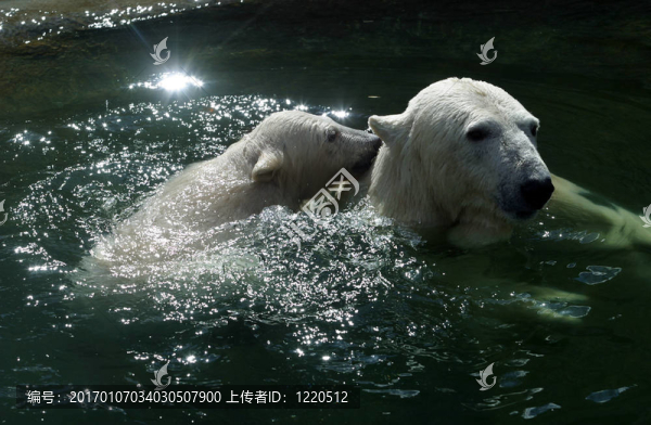 水上游戲-,2