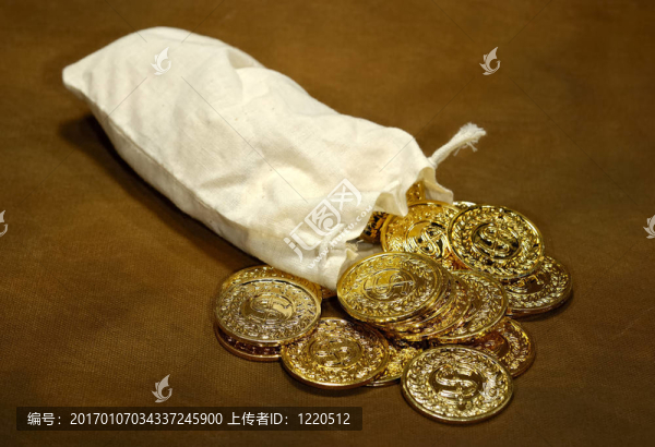 一袋金子