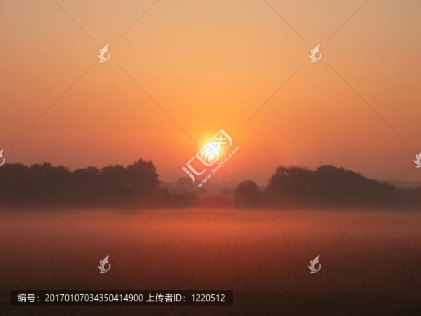 清晨