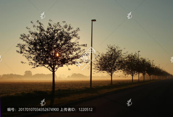 清晨