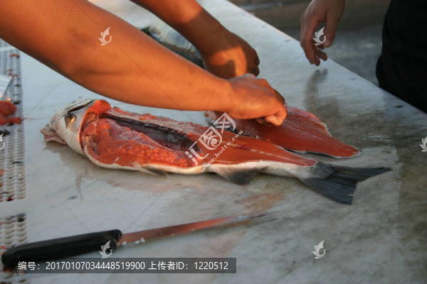 清洗三文魚