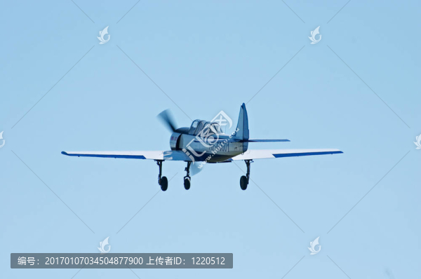 體育運動飛機
