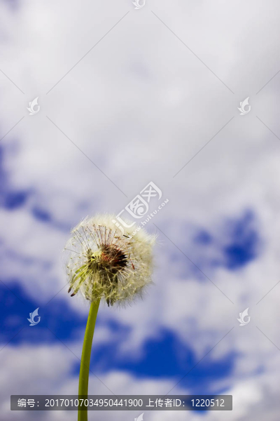 在藍天的措施