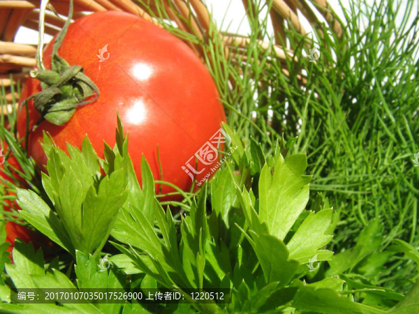 番茄