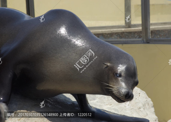 密封
