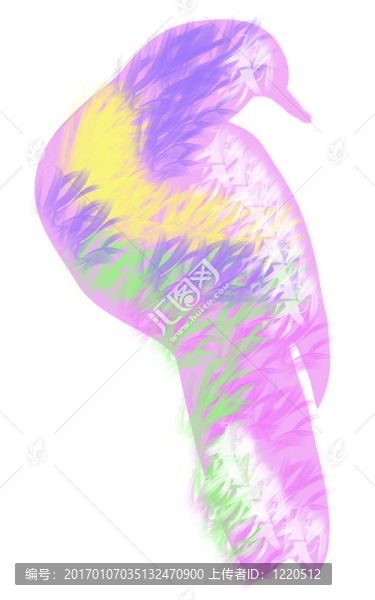 鸚鵡