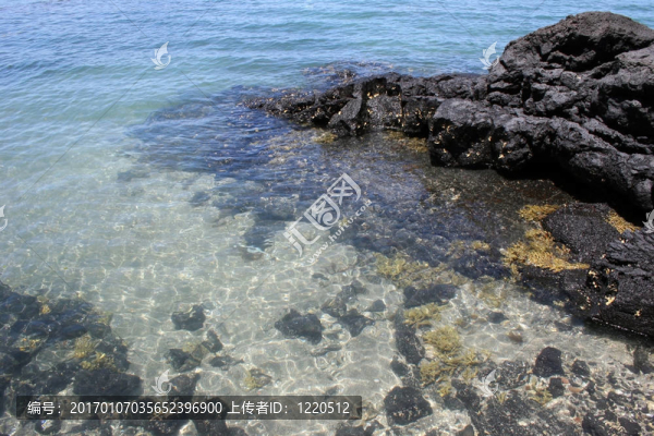 豪拉基灣