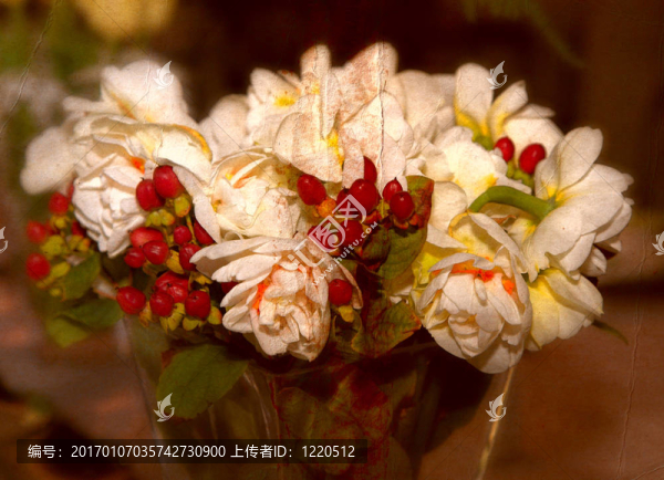 春天水仙花的安排